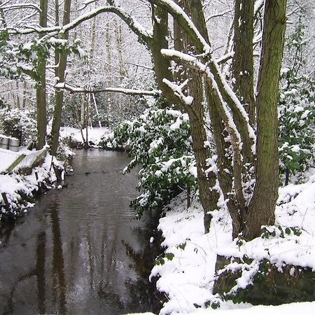 Bosbeekvallei Opoeteren Bagian luar foto