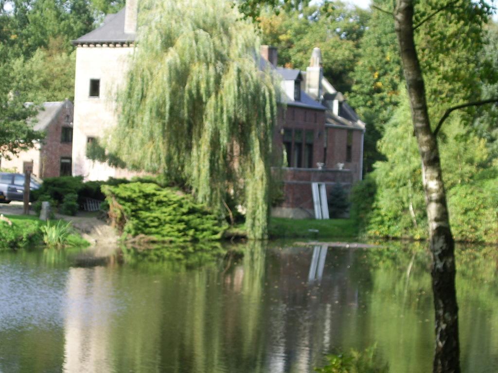 Bosbeekvallei Opoeteren Bagian luar foto