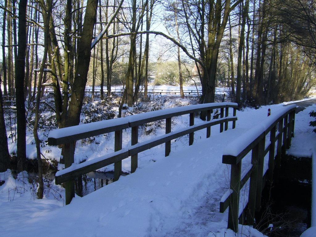 Bosbeekvallei Opoeteren Bagian luar foto
