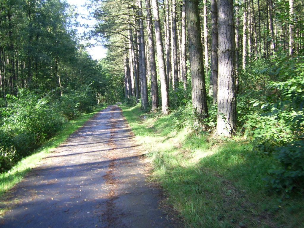 Bosbeekvallei Opoeteren Bagian luar foto