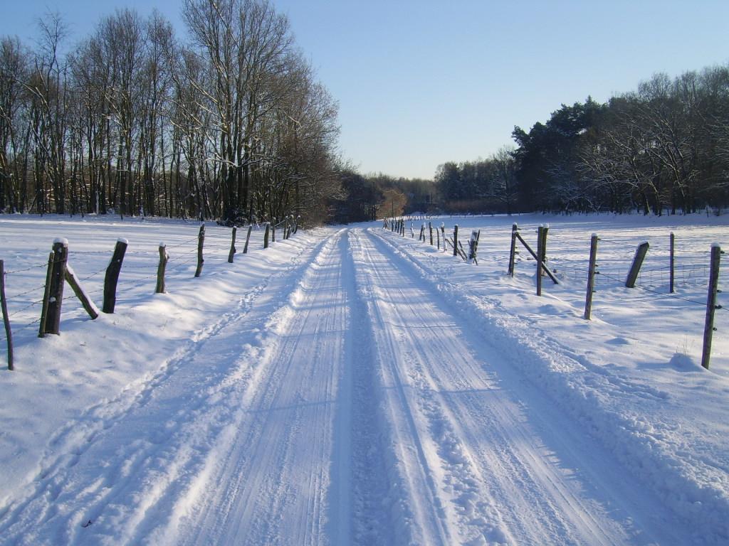 Bosbeekvallei Opoeteren Bagian luar foto
